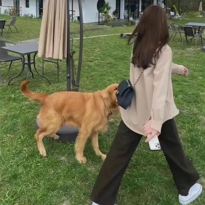 春天之旅